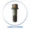 TORNILLO CARDAN