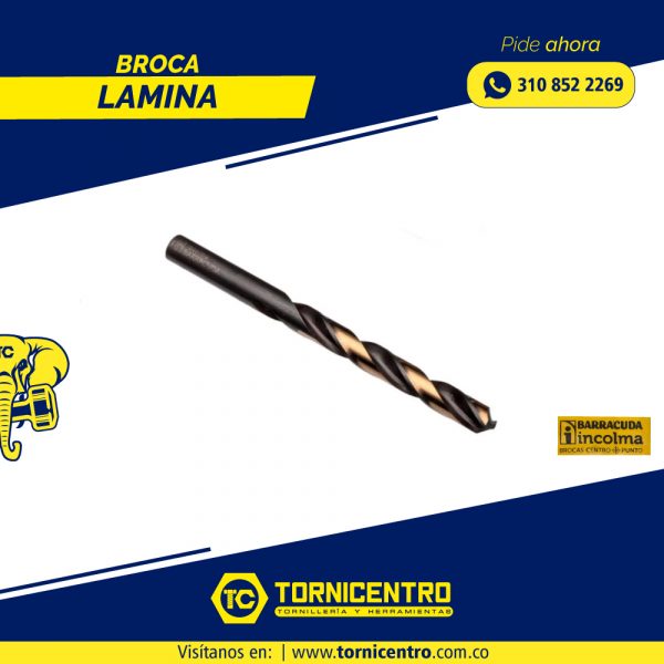 BROCA LAMINA