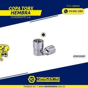 COPA TORX HEMBRA CUADRANTE 1/4 – CROSSMAN