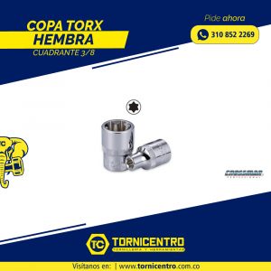 COPA TORX HEMBRA CUADRANTE 3/8 – CROSSMAN