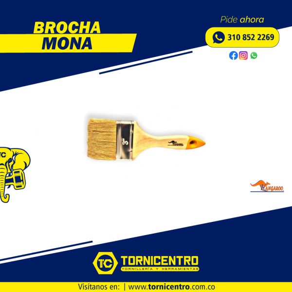 BROCHA MONA - KANGAROO